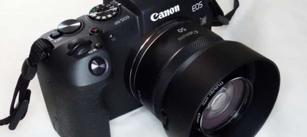 レビュー】Canon RF50mm F1.8 STMには純正フードES-65Bを組み合わせた